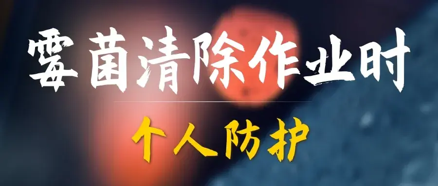 4.webp